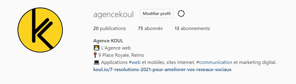 réaliser une bio instagram professionnelle