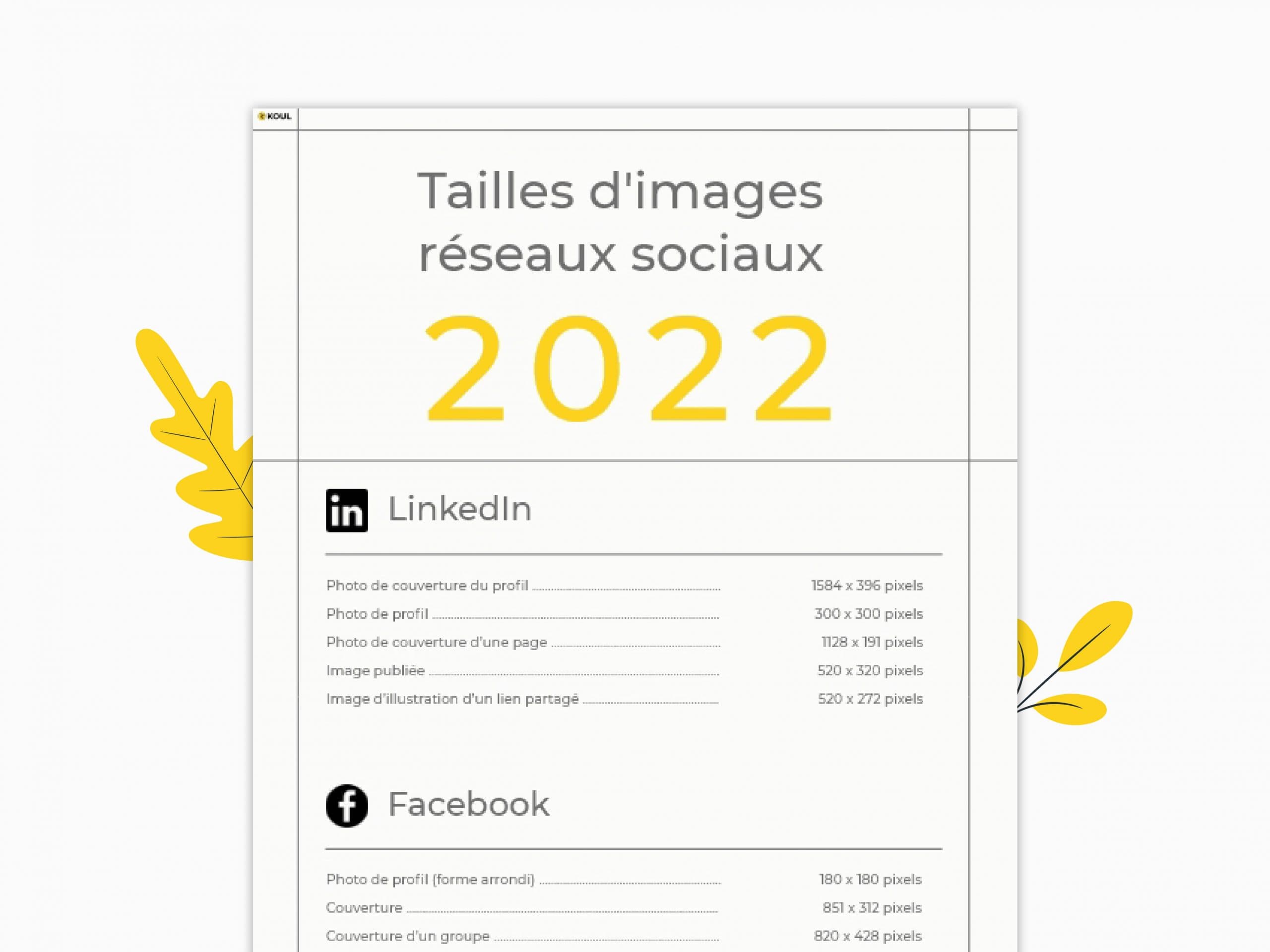 [INFOGRAPHIE] – Dimensions visuels réseaux sociaux 2022